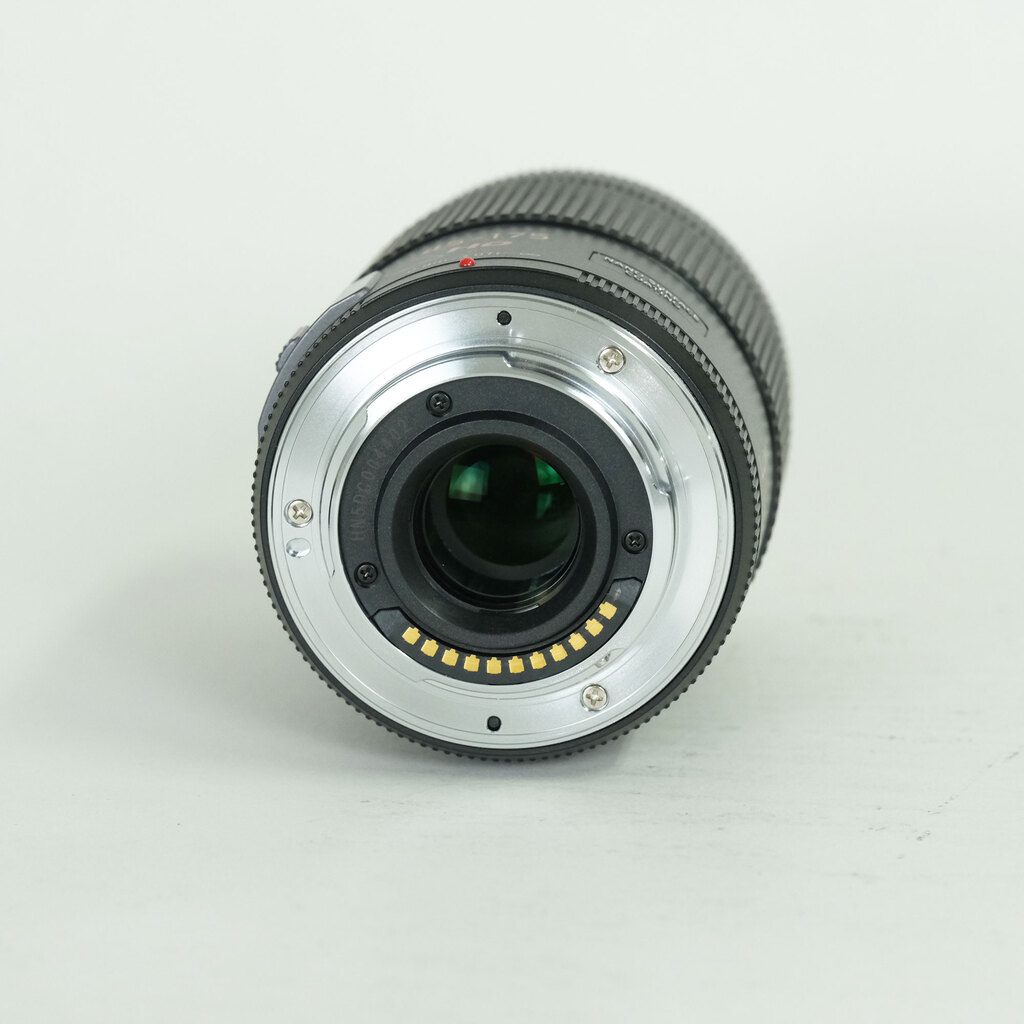 Panasonic LUMIX G X VARIO PZ 45-175mm / F4.0-5.6 ASPH. / POWER O.I.S.