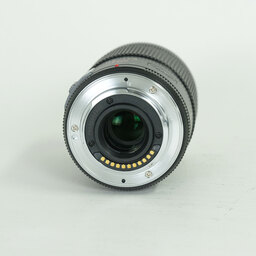 Panasonic LUMIX G X VARIO PZ 45-175mm / F4.0-5.6 ASPH. / POWER O.I.S.