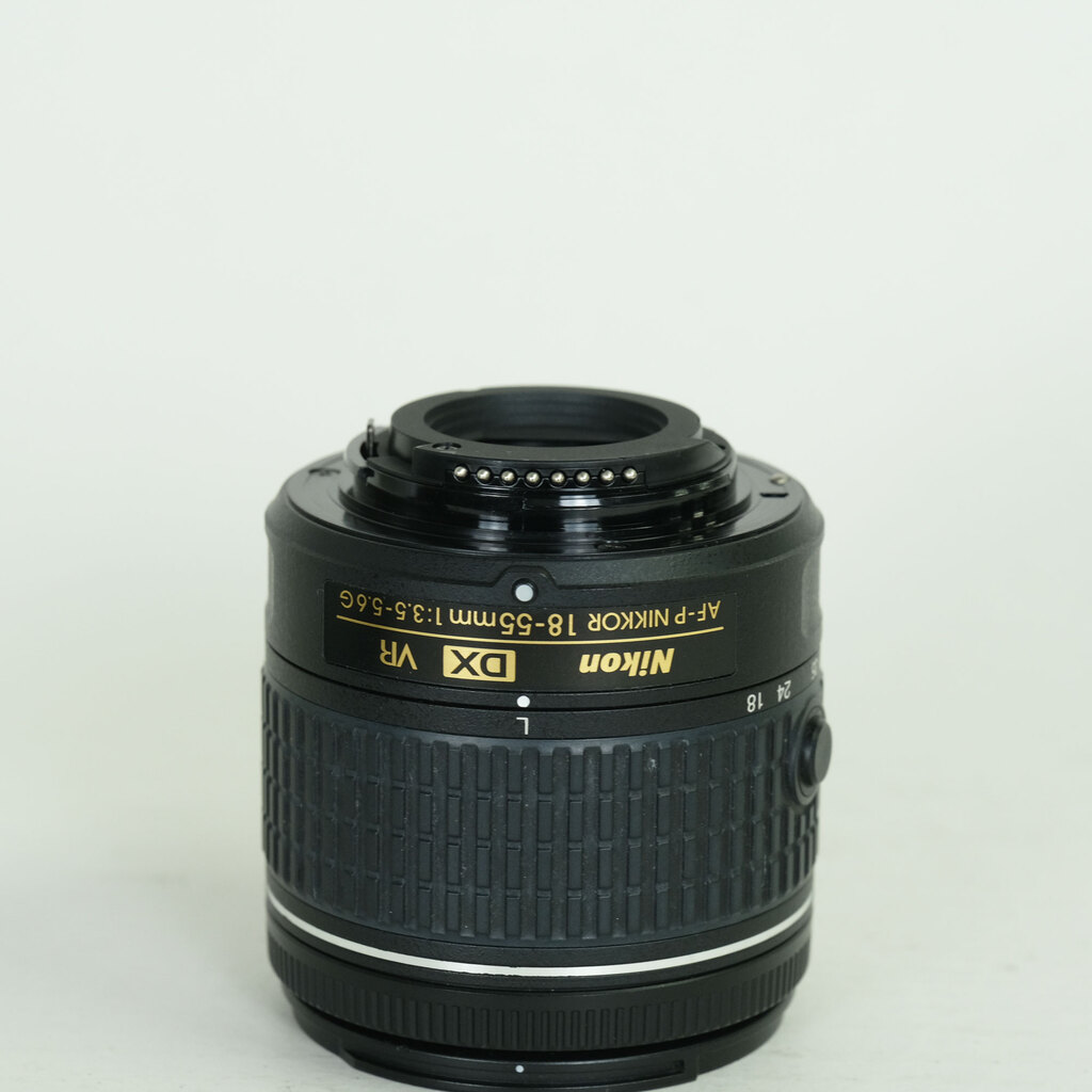 Nikon AF-P DX NIKKOR 18-55mm F3.5-5.6G VR