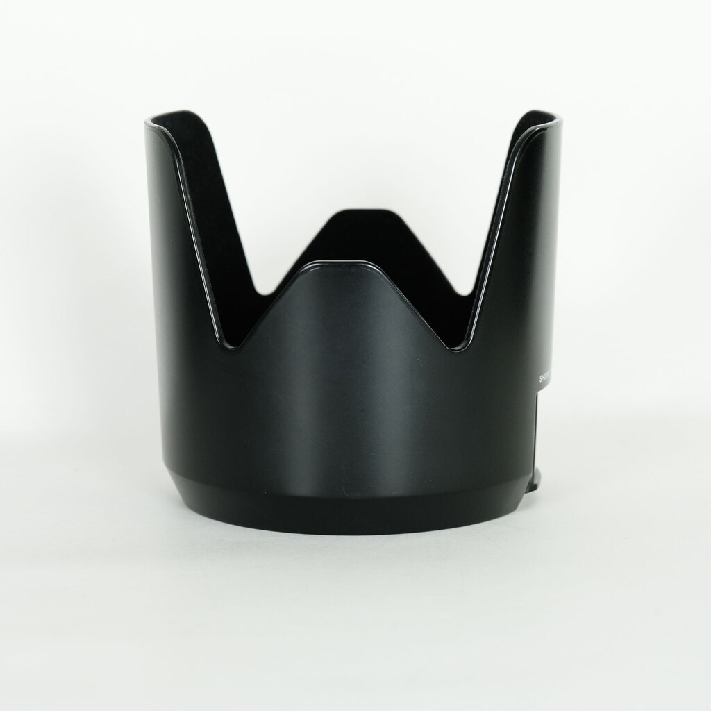 SONY 70-200mm F2.8G SSM(ソニーA用)