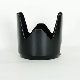 SONY 70-200mm F2.8G SSM(ソニーA用)