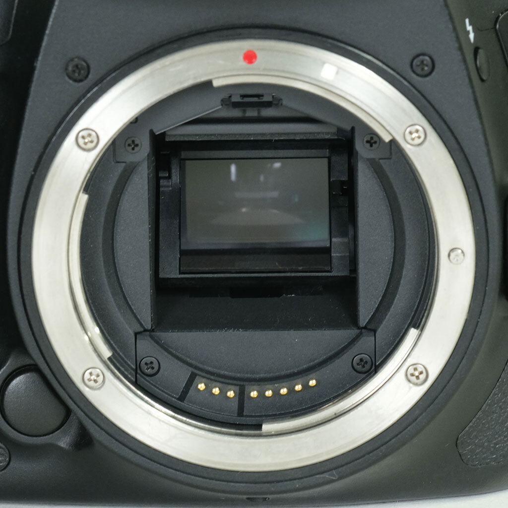 Canon EOS 7D Mark II