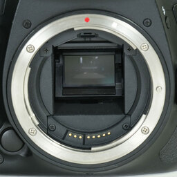 Canon EOS 7D Mark II