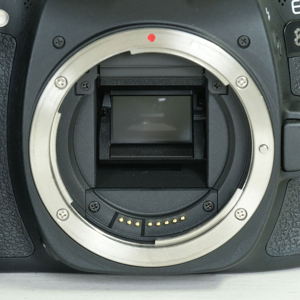 Canon EOS 80D