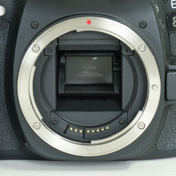 Canon EOS 80D
