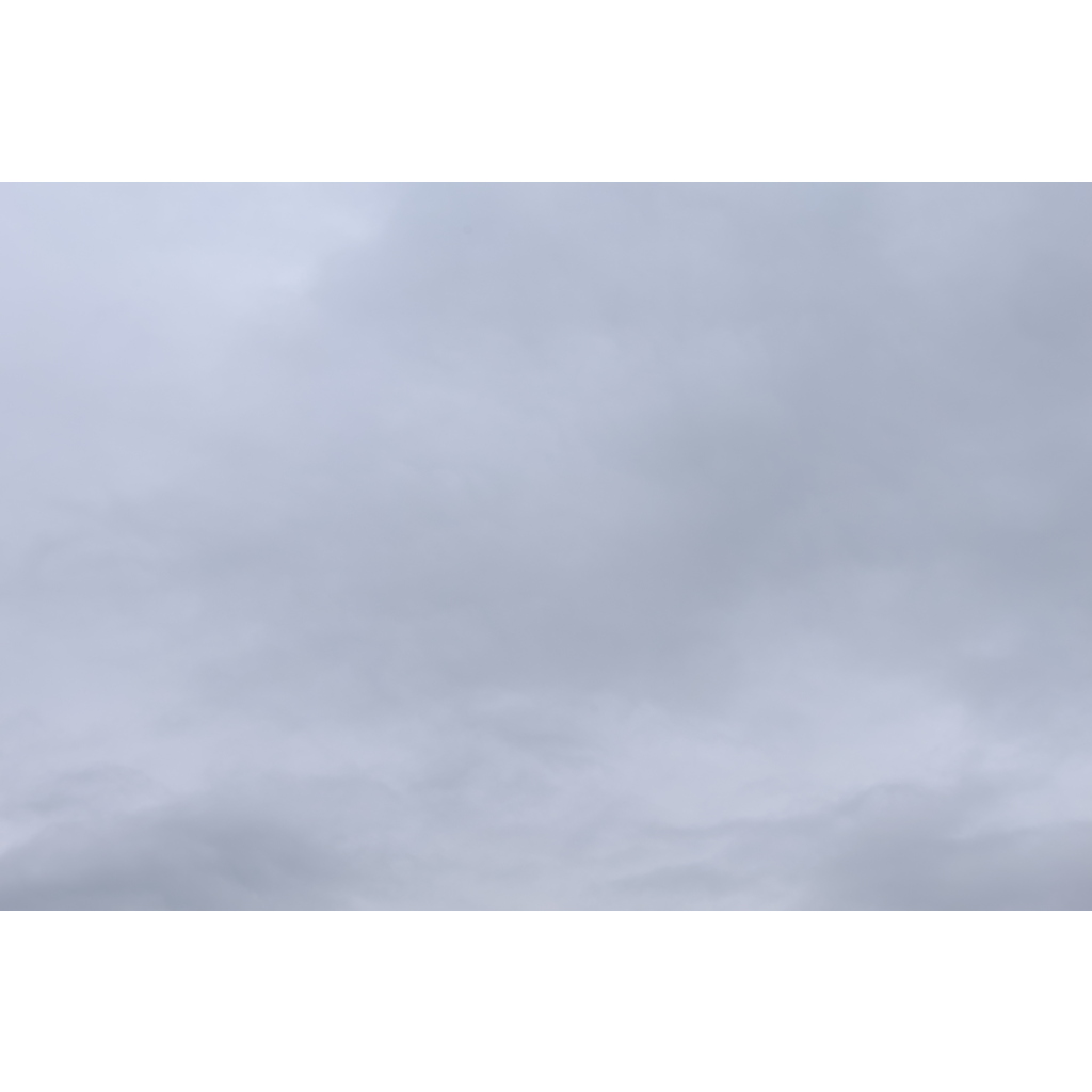 Canon RF24-105mm F4 L IS USM