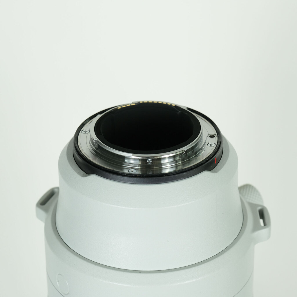 Canon RF200-800mm F6.3-9 IS USM Canon RF200-800mm F6.3-9 IS USM
