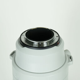 Canon RF200-800mm F6.3-9 IS USM Canon RF200-800mm F6.3-9 IS USM