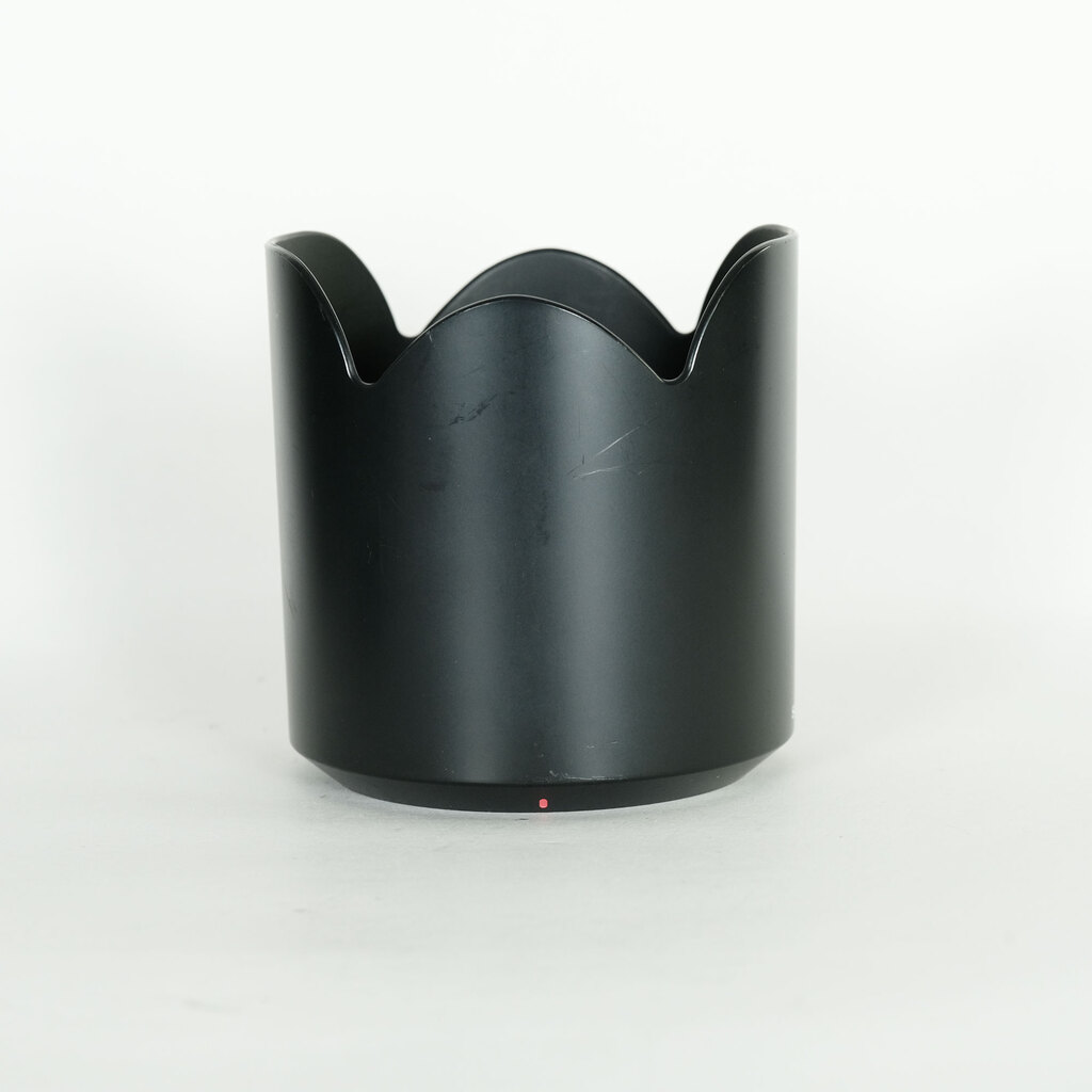 SONY 70-300mm F4.5-5.6 G SSM SAL70300G