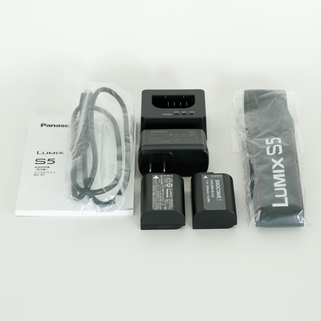 Panasonic LUMIX DC-S5