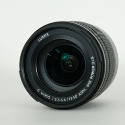 Panasonic LUMIX G VARIO 12-60mm / F3.5-5.6 ASPH. / POWER O.I.S.