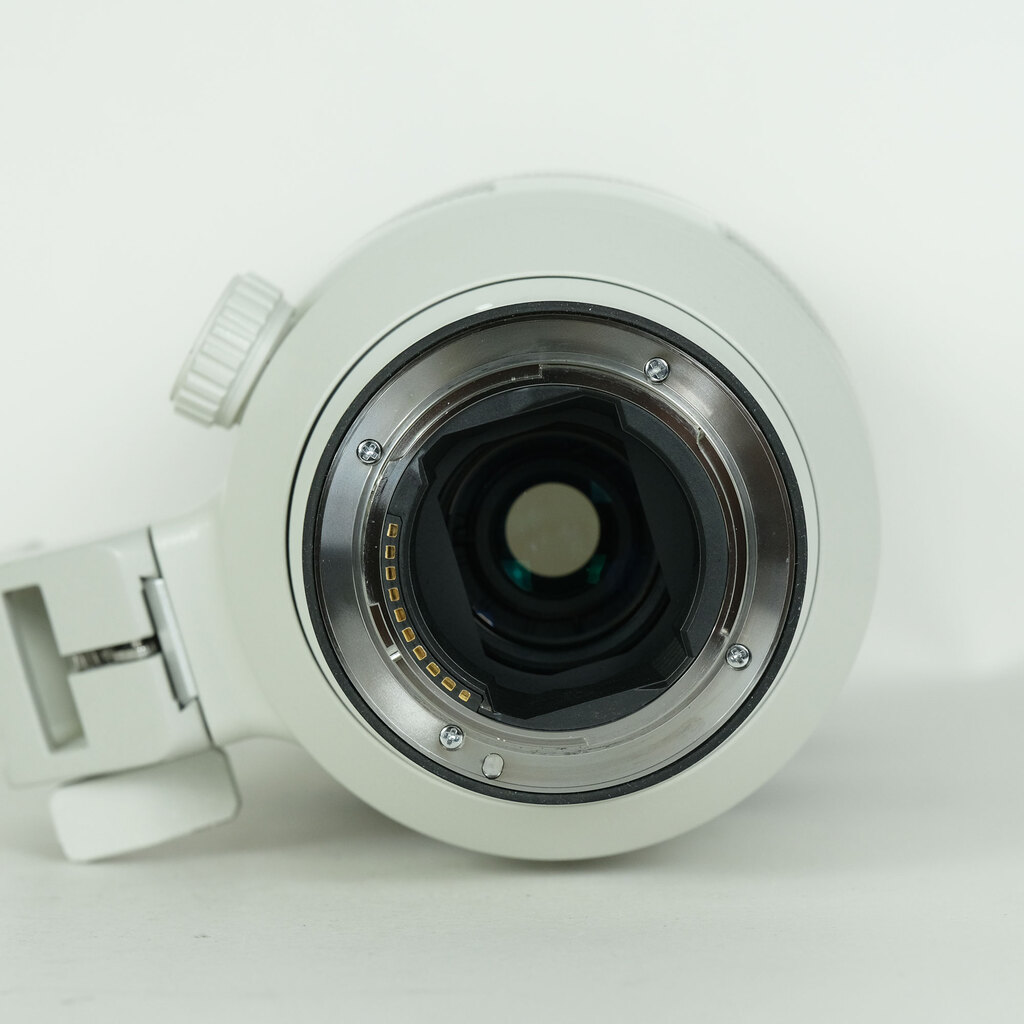 SONY FE 100-400mm F4.5-5.6 GM OSS SEL100400GM