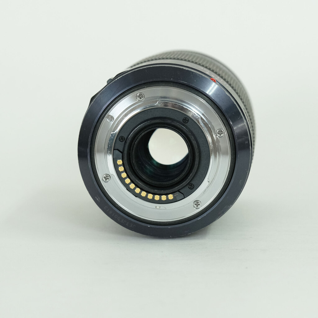 Panasonic LUMIX G X VARIO 35-100mm F2.8 POWER O.I.S. H-HS35100