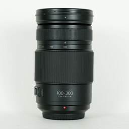 Panasonic LUMIX G VARIO 100-300mm / F4.0-5.6 II / POWER O.I.S.
