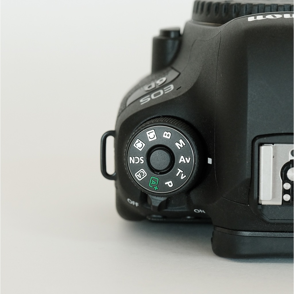 Canon EOS 6D Mark IIの出品 | ONE SCENE（ワンシーン）