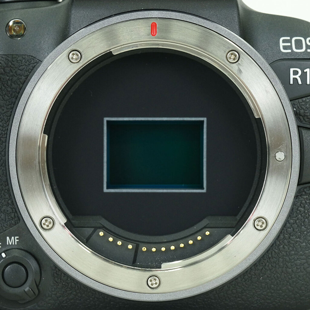 Canon EOS R10 Canon EOS R10