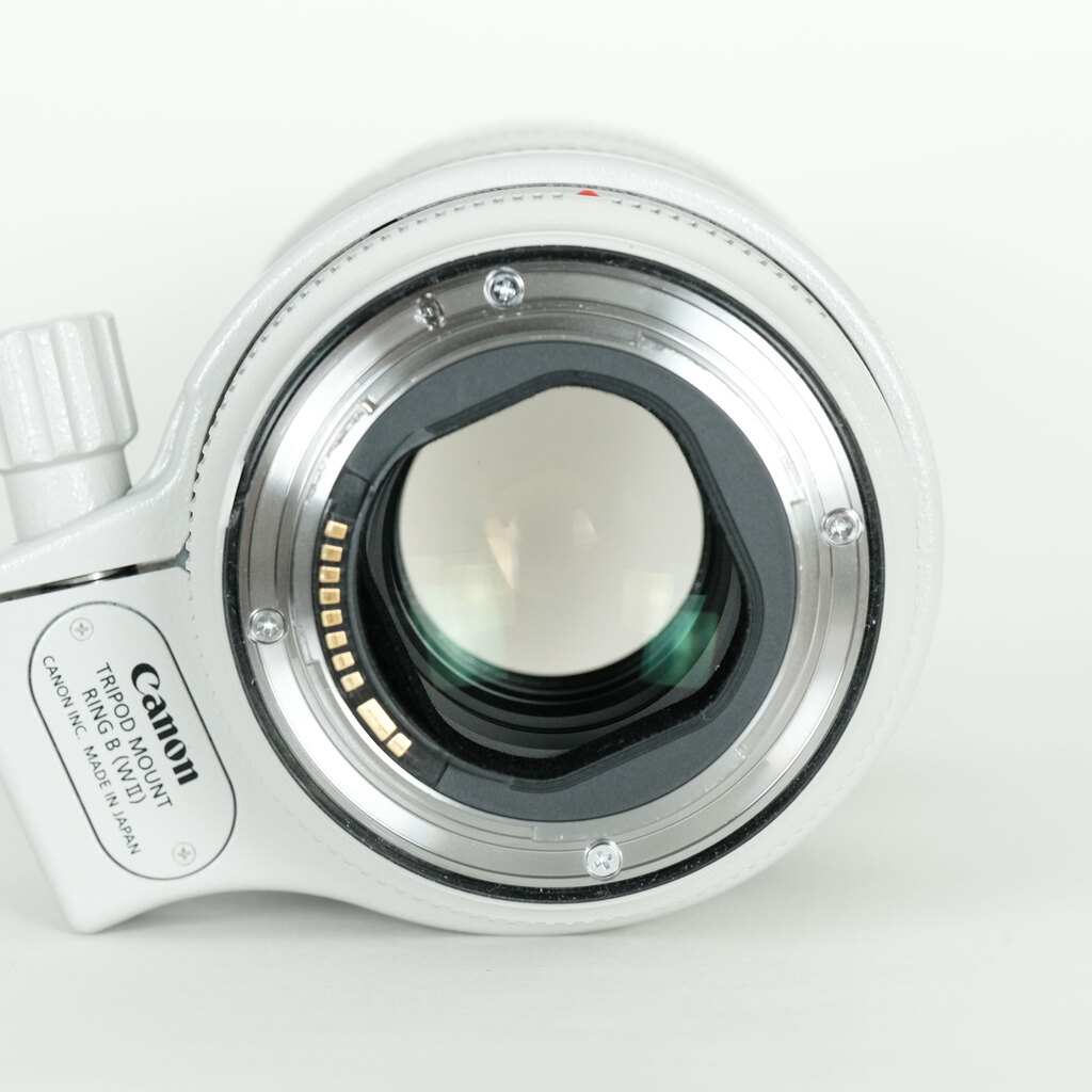 Canon EF70-200mm F2.8L IS III USM