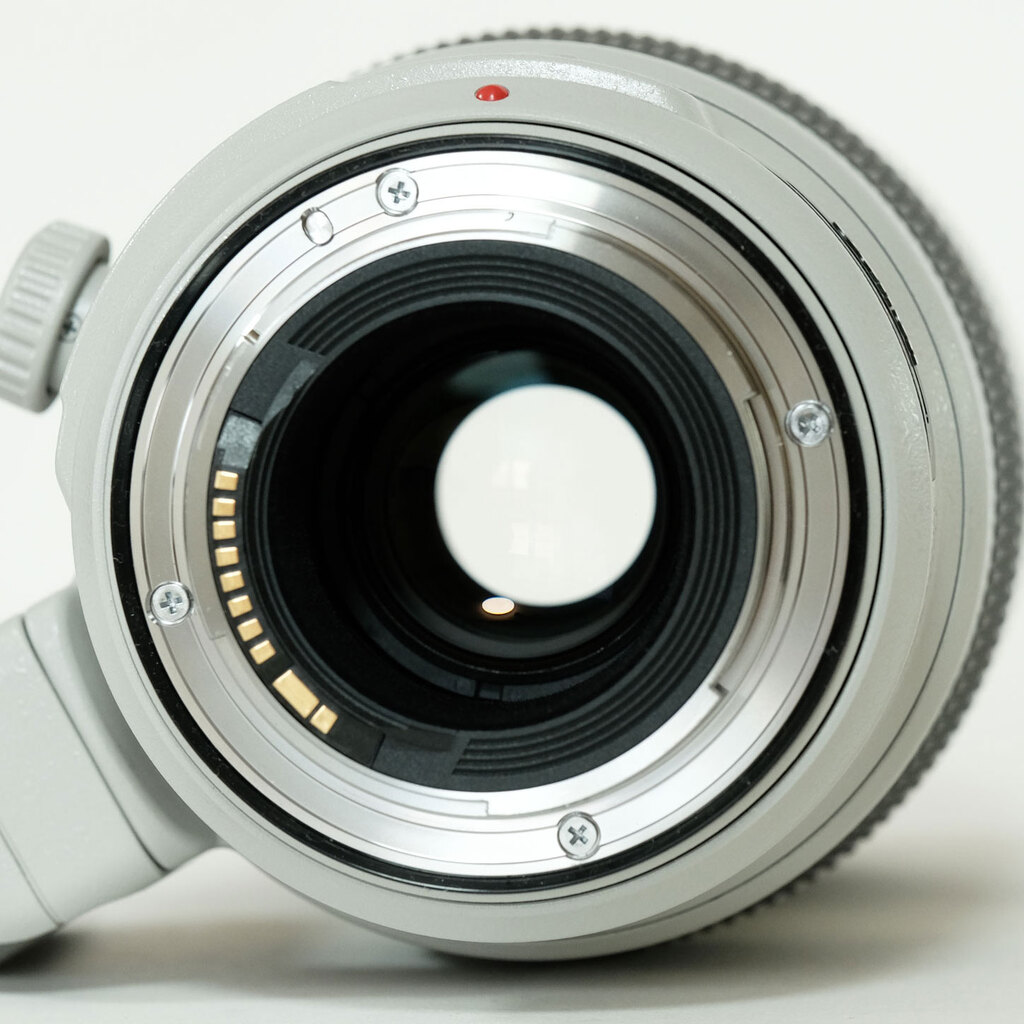 Canon EF100-400mm F4.5-5.6L IS II USM