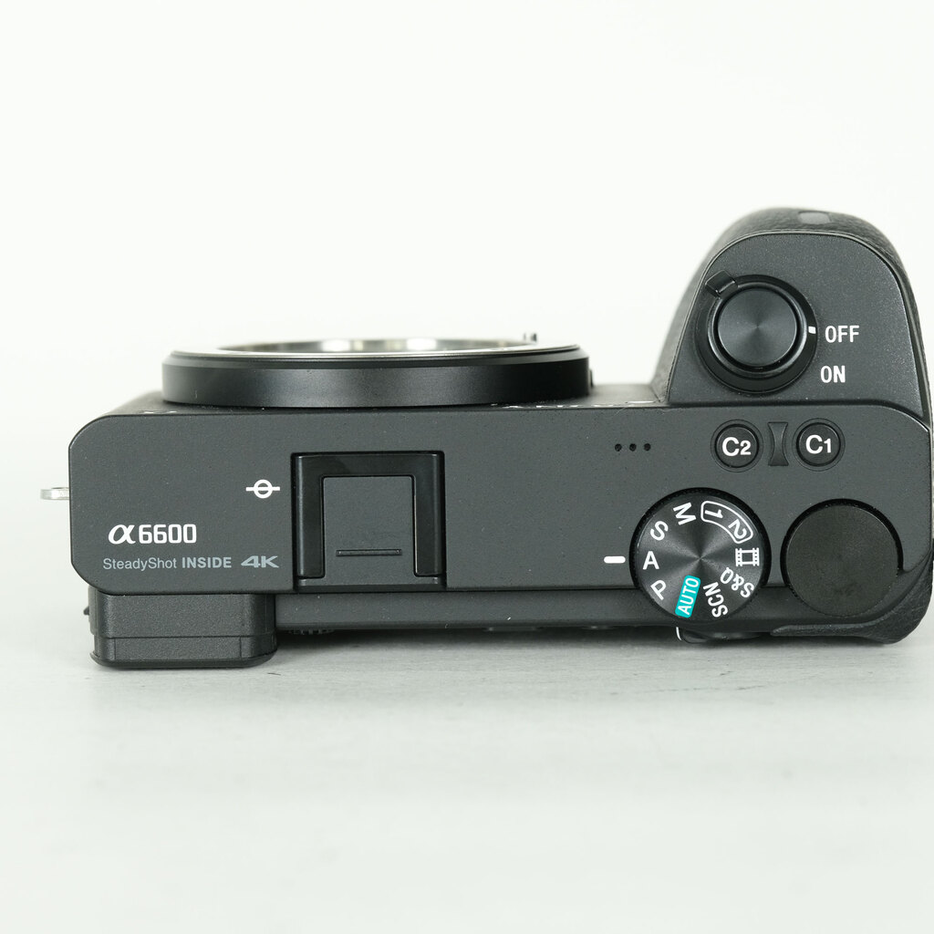SONY α6600 カメラのみ SONY α6600（ILCE-6600）の出品 | ONE SCENE（ワンシーン）