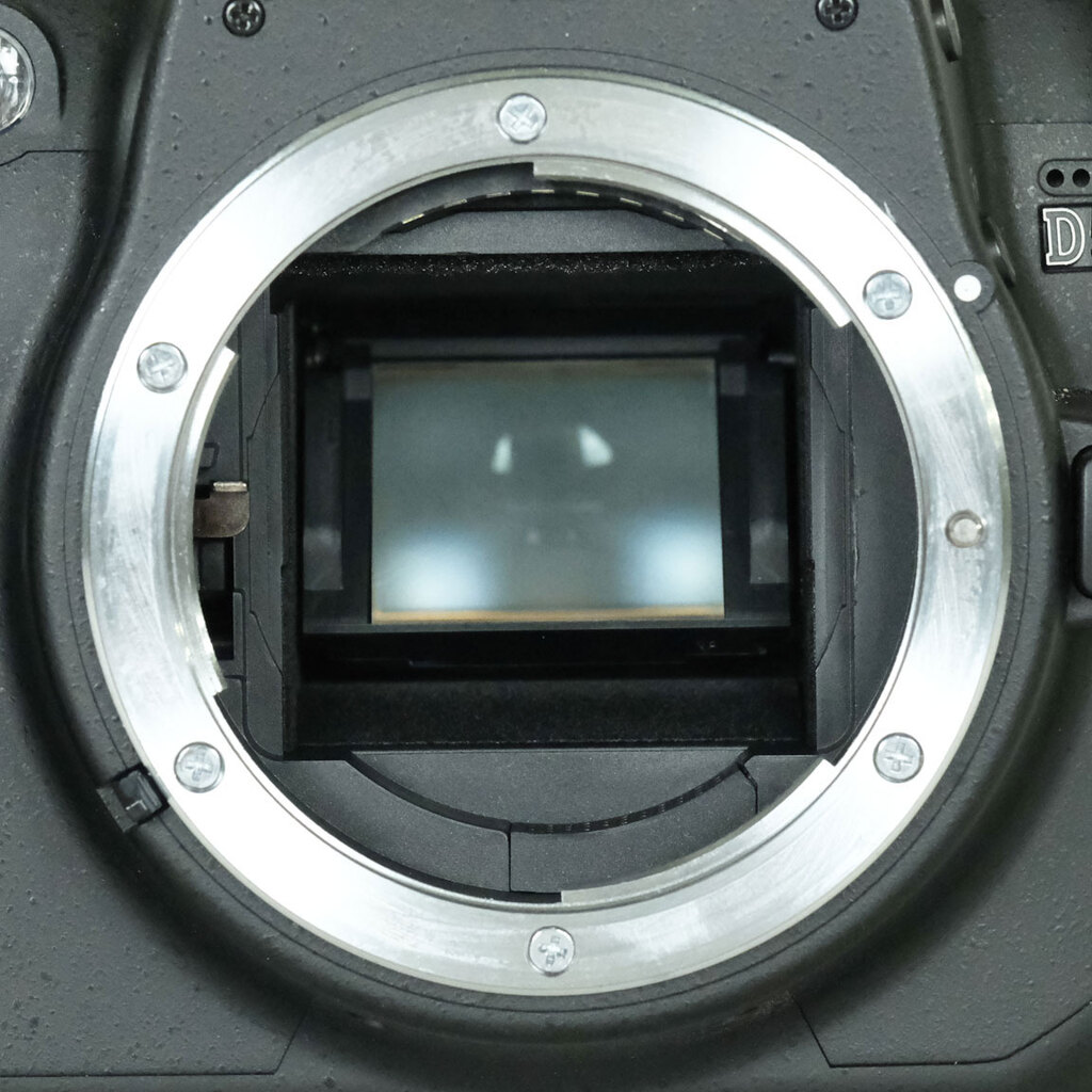 Nikon D5000 ボディ