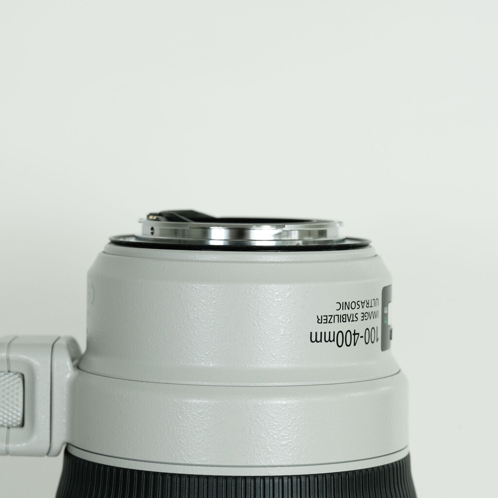 Canon EF100-400mm F4.5-5.6L IS II USM