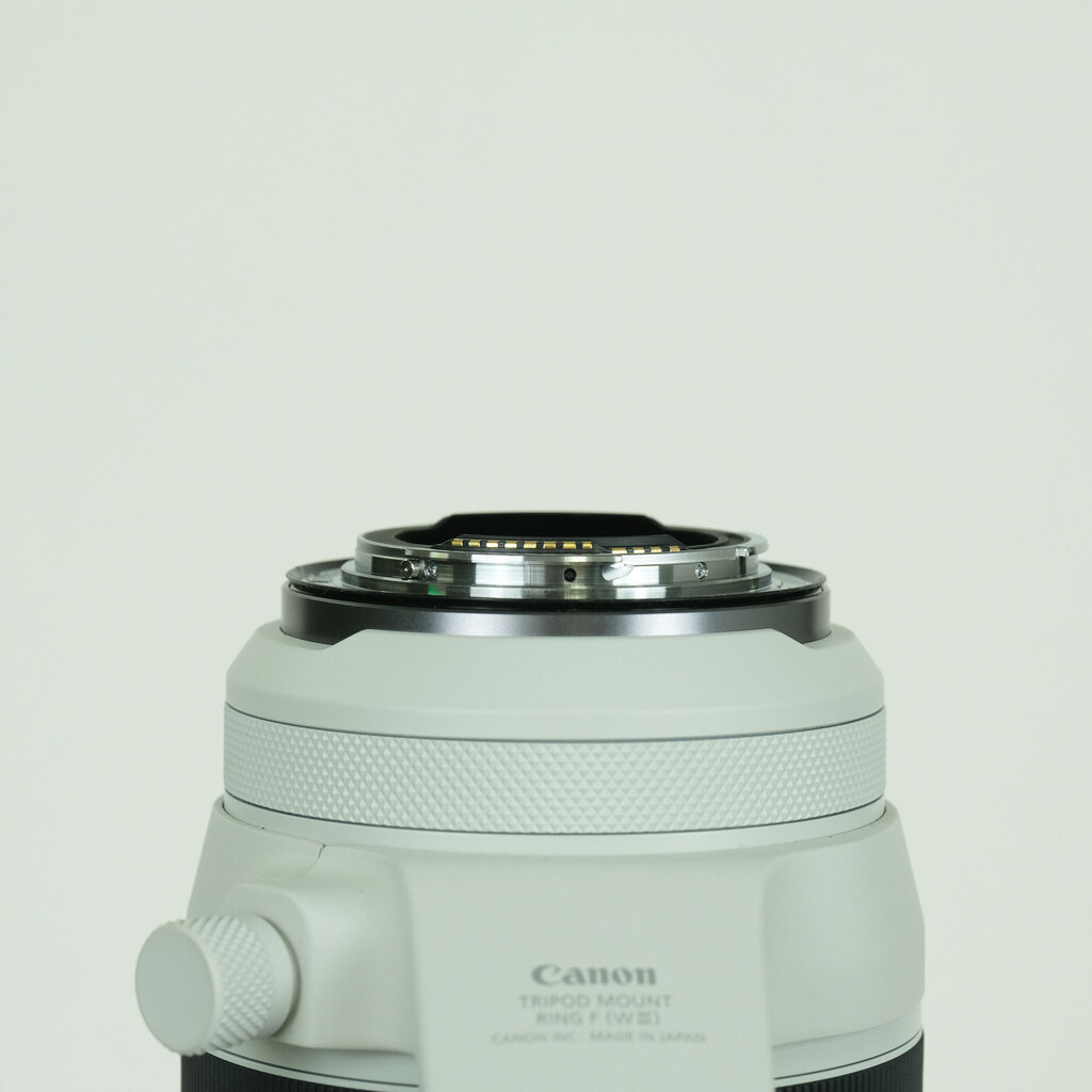 Canon RF100-500mm F4.5-7.1L IS USM