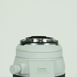 Canon RF100-500mm F4.5-7.1L IS USM