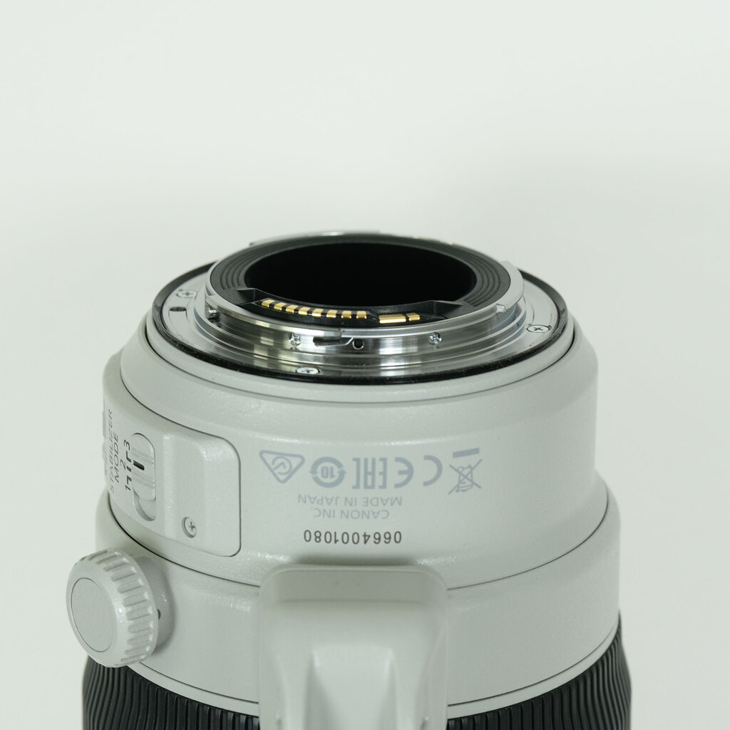Canon EF100-400mm F4.5-5.6L IS II USM