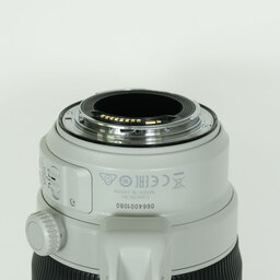 Canon EF100-400mm F4.5-5.6L IS II USM