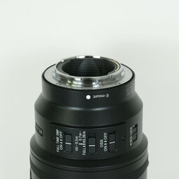 SONY FE 100mm F2.8 Macro GM OSS SEL100M28GM