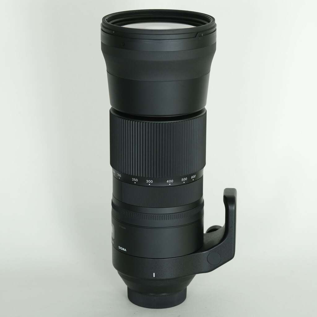 SIGMA 150-600mm F5-6.3 DG OS HSM｜Contemporary [ニコンF用]