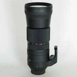 SIGMA 150-600mm F5-6.3 DG OS HSM｜Contemporary [ニコンF用]