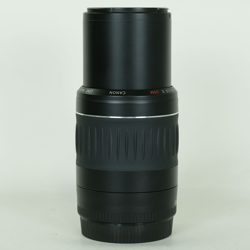 Canon EF55-200mm F4.5-5.6 II USM