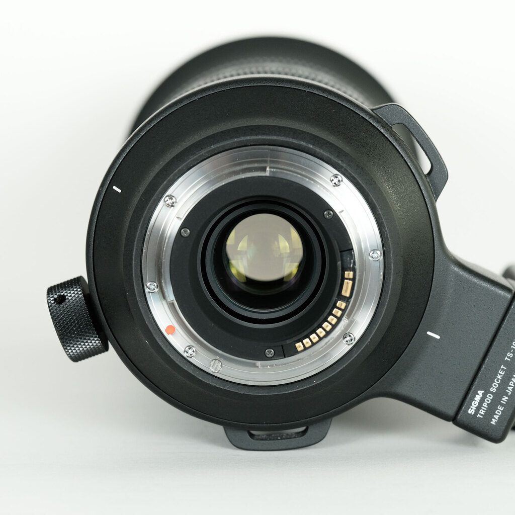 SIGMA 60-600mm F4.5-6.3 DG OS HSM | Sports [キヤノン用]