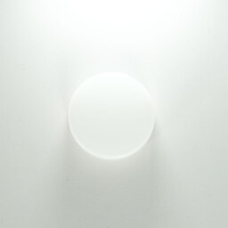 Nikon AF-P DX NIKKOR 70-300mm f/4.5-6.3G ED VR