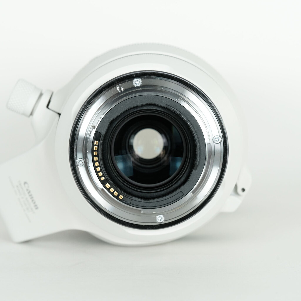 Canon RF100-500mm F4.5-7.1L IS USM