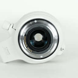 Canon RF100-500mm F4.5-7.1L IS USM