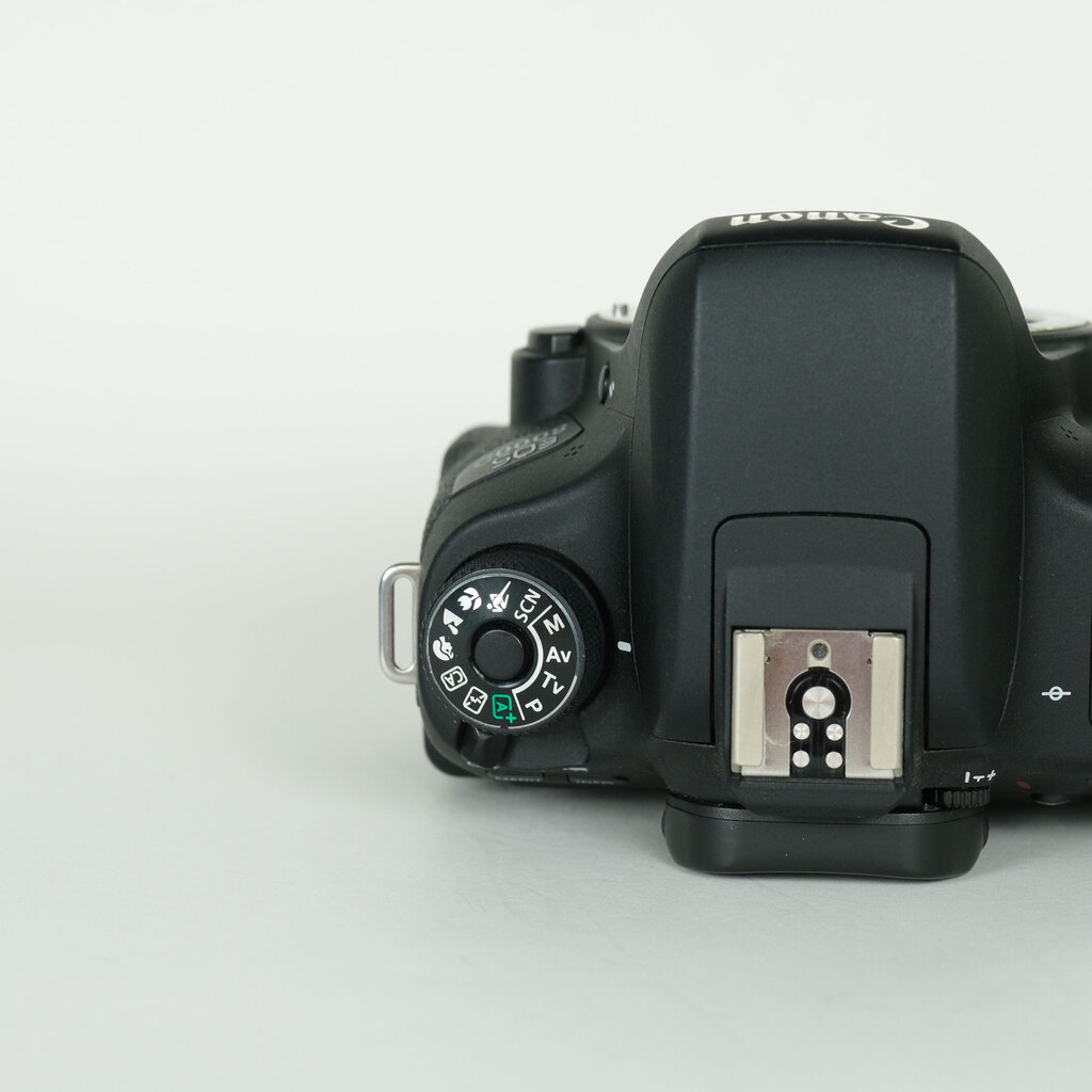 Canon EOS 8000Dの出品 | ONE SCENE（ワンシーン）