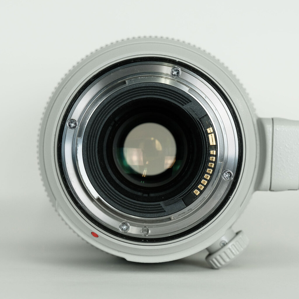 Canon EF100-400mm F4.5-5.6L IS II USM