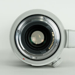 Canon EF100-400mm F4.5-5.6L IS II USM