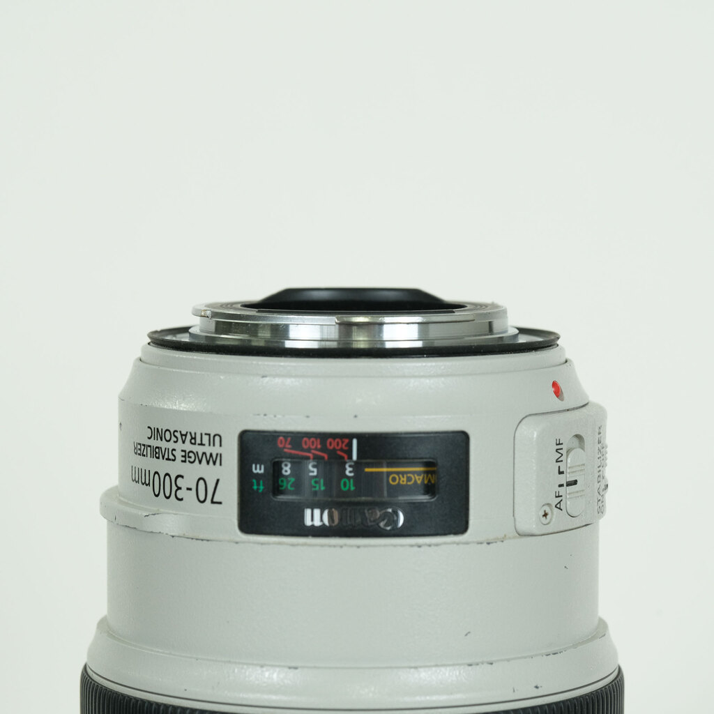 Canon EF70-300mm F4-5.6L IS USM