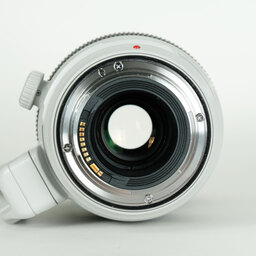 Canon EF100-400mm F4.5-5.6L IS II USM