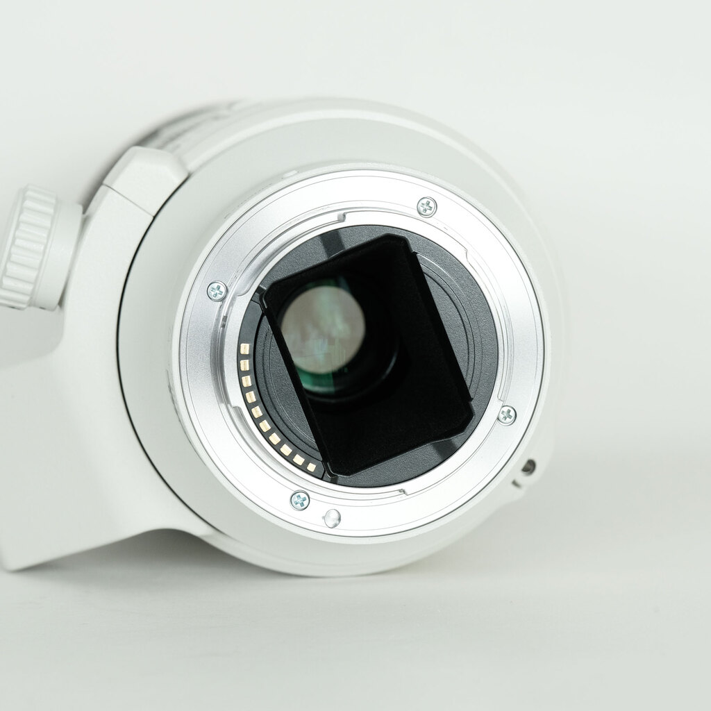 SONY FE 70-200mm F4 G OSS SEL70200G