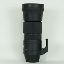 SIGMA Contemporary 150-600mm F5-6.3 DG 1.4xテレコンバーターキット (キヤノンEF用)