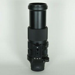 SIGMA 100-400mm F5-6.3 DG DN OS｜Contemporary [ソニーE用]