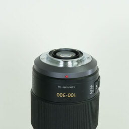 Panasonic LUMIX G VARIO 100-300mm / F4.0-5.6 / POWER O.I.S. Panasonic LUMIX G VARIO 100-300mm / F4.0-5.6 / POWER O.I.S.