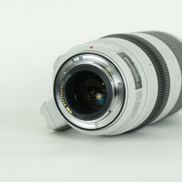 Canon EF100-400mm F4.5-5.6L IS II USM