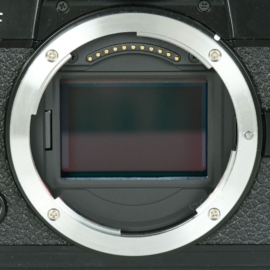 Nikon Z fの出品 | ONE SCENE（ワンシーン）
