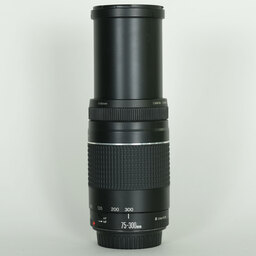 Canon EF75-300mm F4-5.6 III USM
