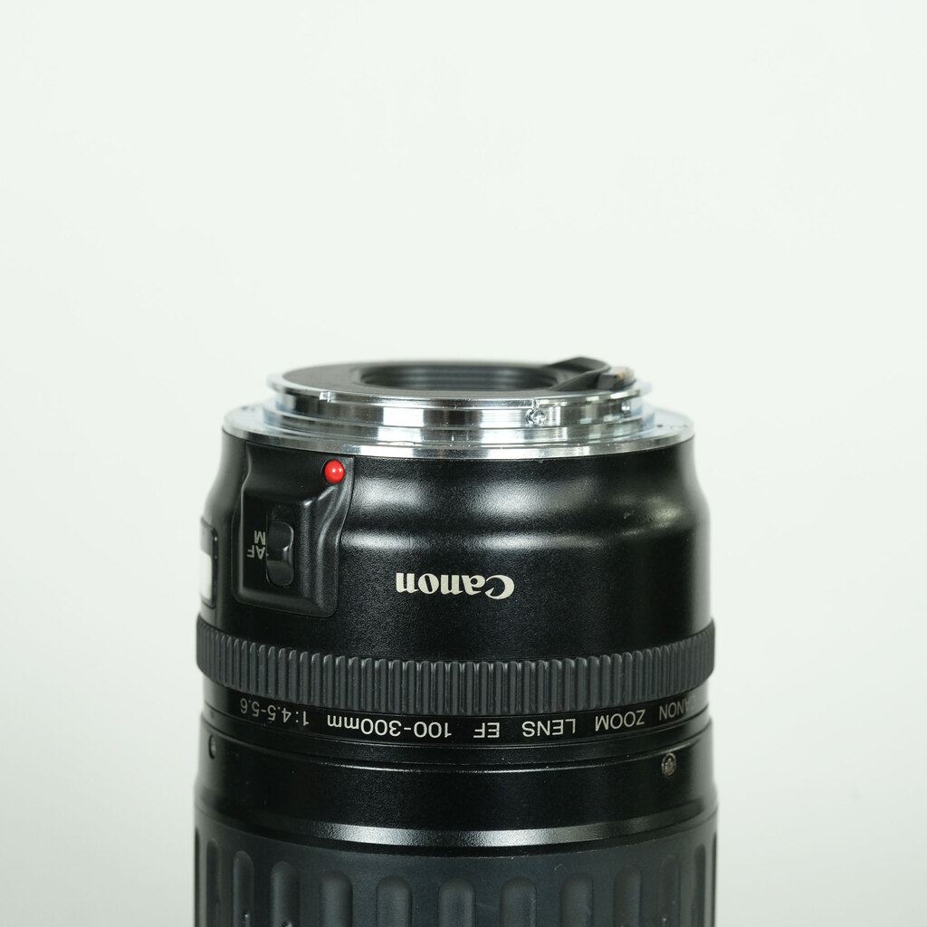 EF100-300mm F4.5-5.6 USM